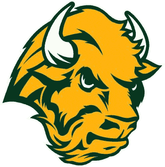 North Dakota State Bison 2005-2011 Alternate Logo diy DTF decal sticker